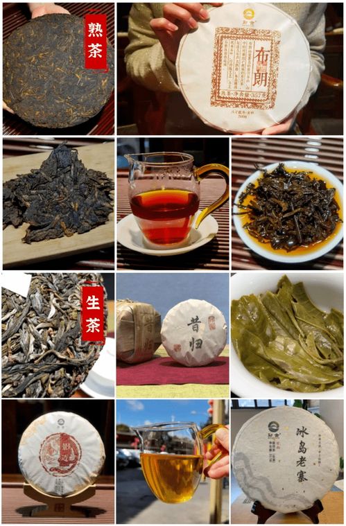 请教大咖们：普洱茶，为什么说“喝生不喝熟”(普洱茶为什么喝生普不喝熟普)