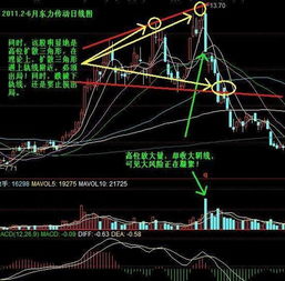 新手怎么判断股票是否成交