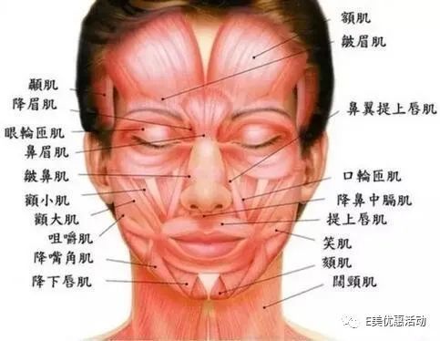 明星健康码照片被泄露 前置镜头下,明星们都丑到自己了