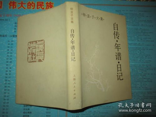 自传范文200字;宋江人物传记两百字左右？