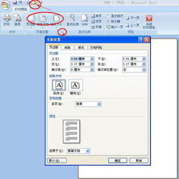 Mac for office2011 如何设置打印预览 