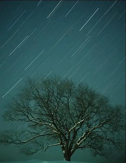 翠竹楼主原创诗 五绝 夜雨寄语