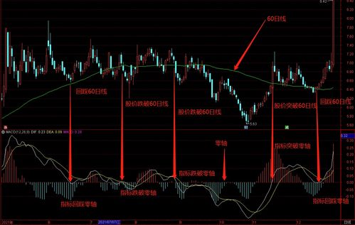 如何利用macd指标进行趋势研判