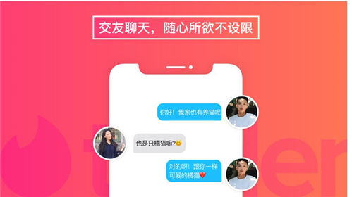 Tinder 最新版下载 Tinder iOS最新版下载v11.19.0 