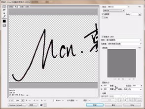 如何制作自己的手写签名水印 