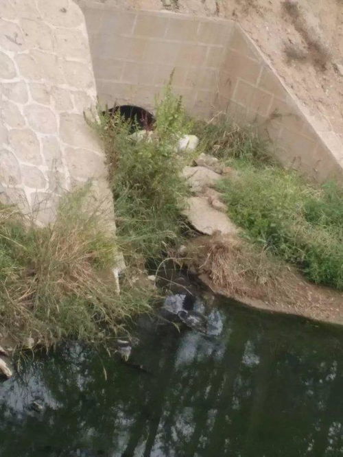 邯郸肥乡区 污水直排河道,多人监管却无人来管