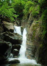 大秦岭为旅游注入活力 口号嘹亮秦岭最美是商洛 