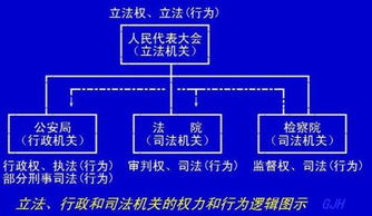 请举例说明哪些是酸性物，哪些是碱性物，哪些是两性物