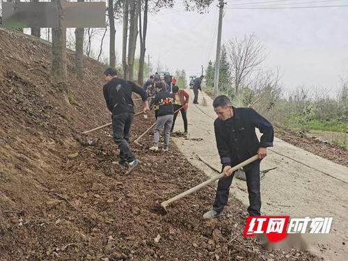 赫山八字哨镇 党群激发乡村振兴活力