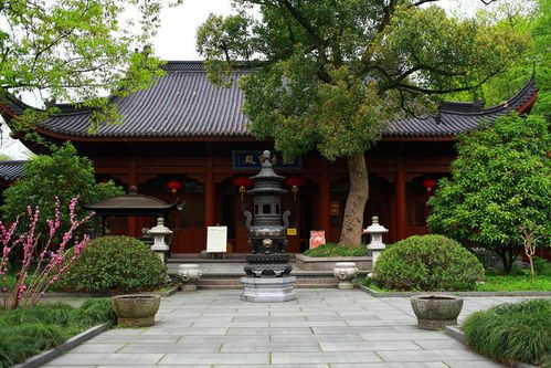 灵隐寺附近还有一宝藏寺庙,距今1600年,还藏着1000多棵古树
