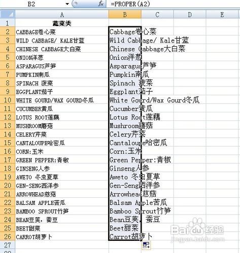 英语的名字格式（英语名字格式大小写）