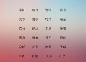 名字琳字的含义是什么（名字琳字的含义是什么呢）