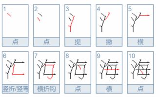 海字笔顺怎么写 