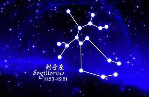 看上去像 花瓶 ,却很有才华的星座,个性独立,不需要依附他人