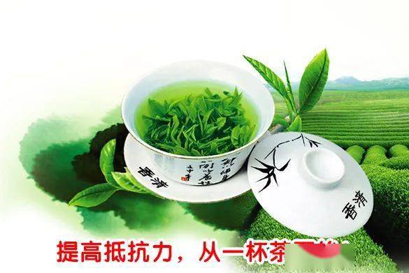 王岳飞 热爱教书育人的使命,热爱茶业的黄金时代 榜样