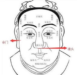 什么是大财 为什么说这种面相人能担得起大财