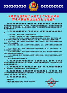 破坏森林资源犯罪的定罪量刑标准得到最高法明确