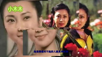 少林小子 高清 在线观看 – 