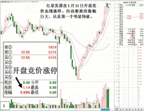 早盘9：25竞价大单是指的必须红的买入，绿色的算大单吗?