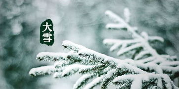 二十四节气 大雪 