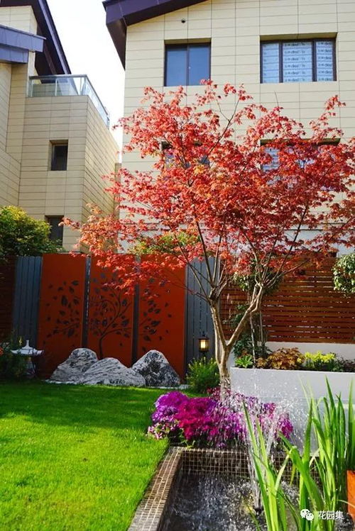 园集奖优秀作品 为花园做减法,用线条勾勒出一个现代简约花园