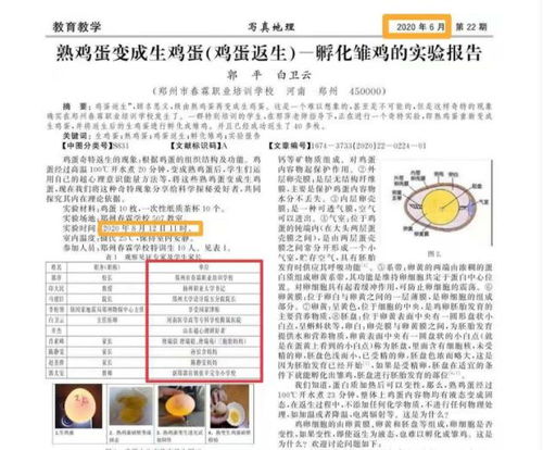 课堂派论文查重背后的与道德考量