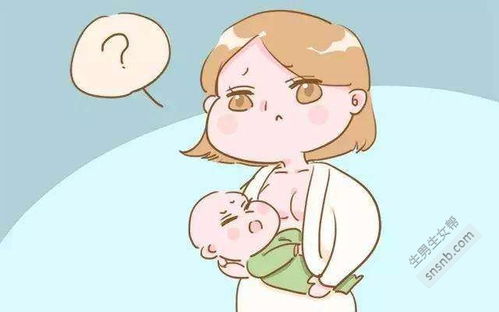 哺乳期怀孕(哺乳期怀孕的危害有哪些)