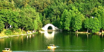 仙湖植物园门票 仙湖植物园旅游攻略 深圳仙湖植物园攻略 地址 图片 门票价格 