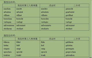 实意动词look造句（look后加形容词的什么形式？）