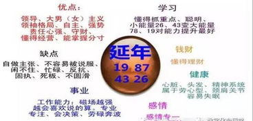 数字能量学手机号码 延年磁场能量19 87 34 26,你有这数字吗 涂