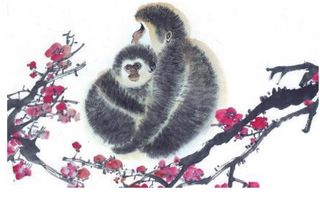 肖马 肖羊 肖猴,生在哪些月份,最有福气,一辈子不为钱财发愁