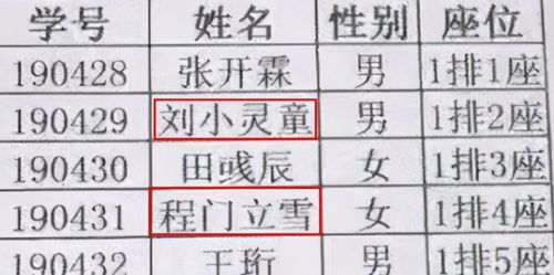 武汉一大学生因名字太萌走红,被老师公开质疑,家长起名太前卫了