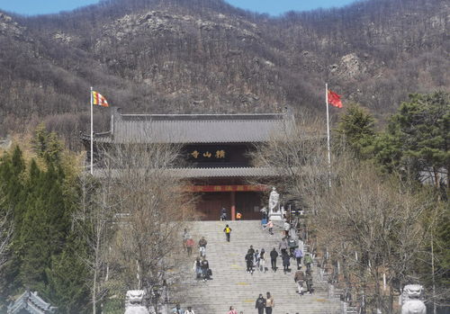 旅游方式分享 大连 横山寺 