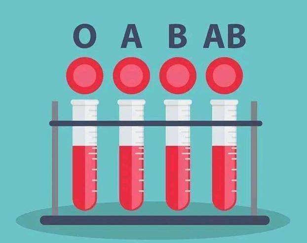 A型 B型 AB型 O型血,哪种血型身体好点 你是哪个血型