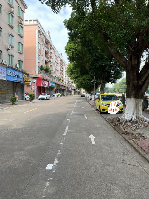 金榜上街附近怎么停车(顺德华盖路附近免费停车场)