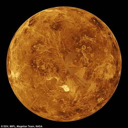 远古金星或存浅海孕育生命 温度曾比地球还低