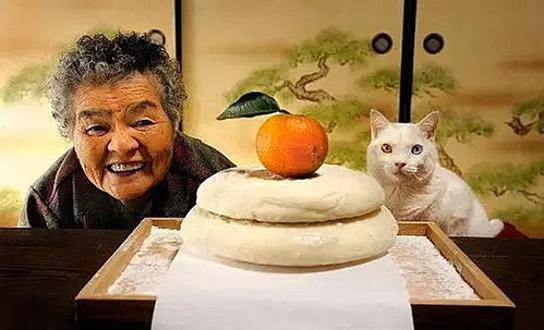 日本奶奶路过捡了只猫,竟爆红遍了世界