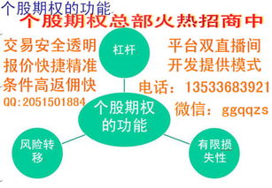 股期宝个股期权是国内最正规期权交易平台吗