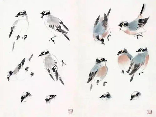 国画中最常见几种禽鸟画法步骤,收藏了