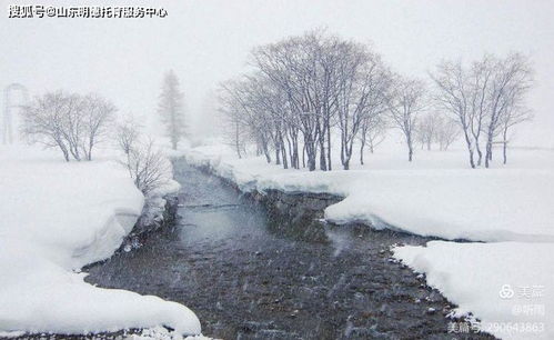 大雪飞舞,银装素裹 诸城市明德托育园中一班二十四节气之大雪主题活动