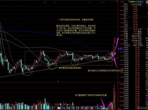 股票在箱体震荡后底部筹码消失，这样的情况意味着下一步怎么走呢？002306，震荡后底部的筹码消失了