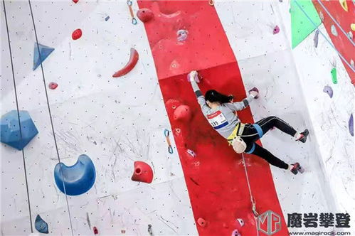 黄浦区第三届市民运动会 黄浦区攀岩比赛 参与 快乐 成长