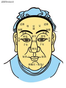翔云师傅面相精髓,一眼便看出你一生命运