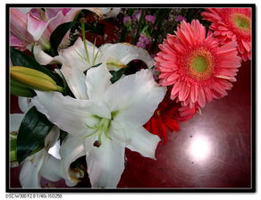办公桌上的花 