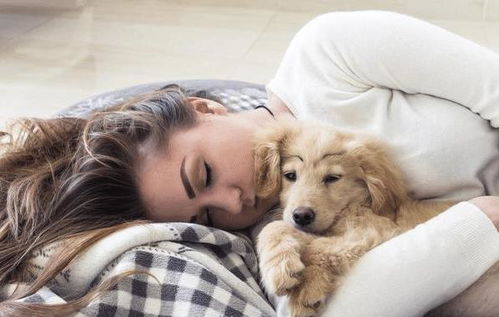 狗狗不同的睡姿,代表的含义大不同,你看懂了吗