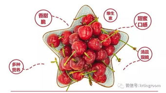 大红樱桃来了 精选烟台凉地大樱桃预售 现摘现发 