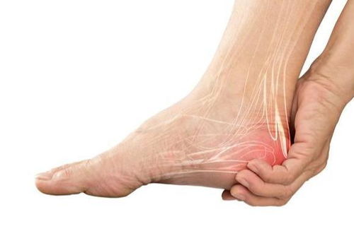 脚后跟疼是什么原因 脚后跟痛是什么原因