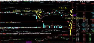 渤海证券如何开通st股票业务