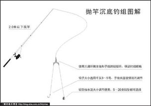 海钓串钩钓鲈鱼鱼技巧丨掌握八大海钓技巧 乐享惬意休闲时光