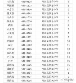 环江二高怎么样 环江高中2023年一本人数